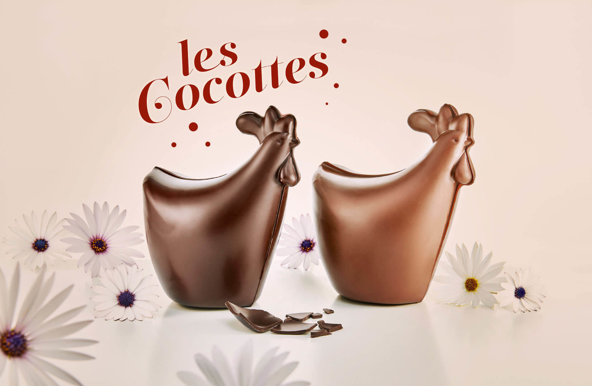 Cocottes en chocolat Motta