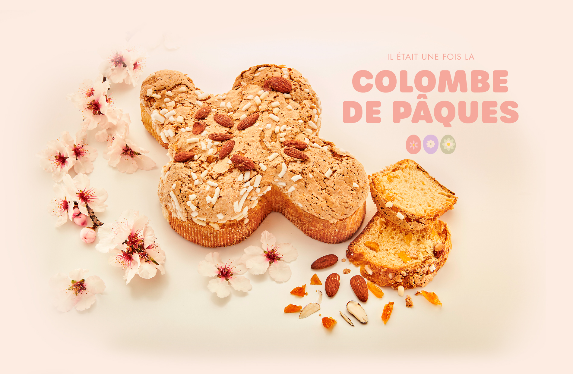 Motta_slider_home_2025_colombe
