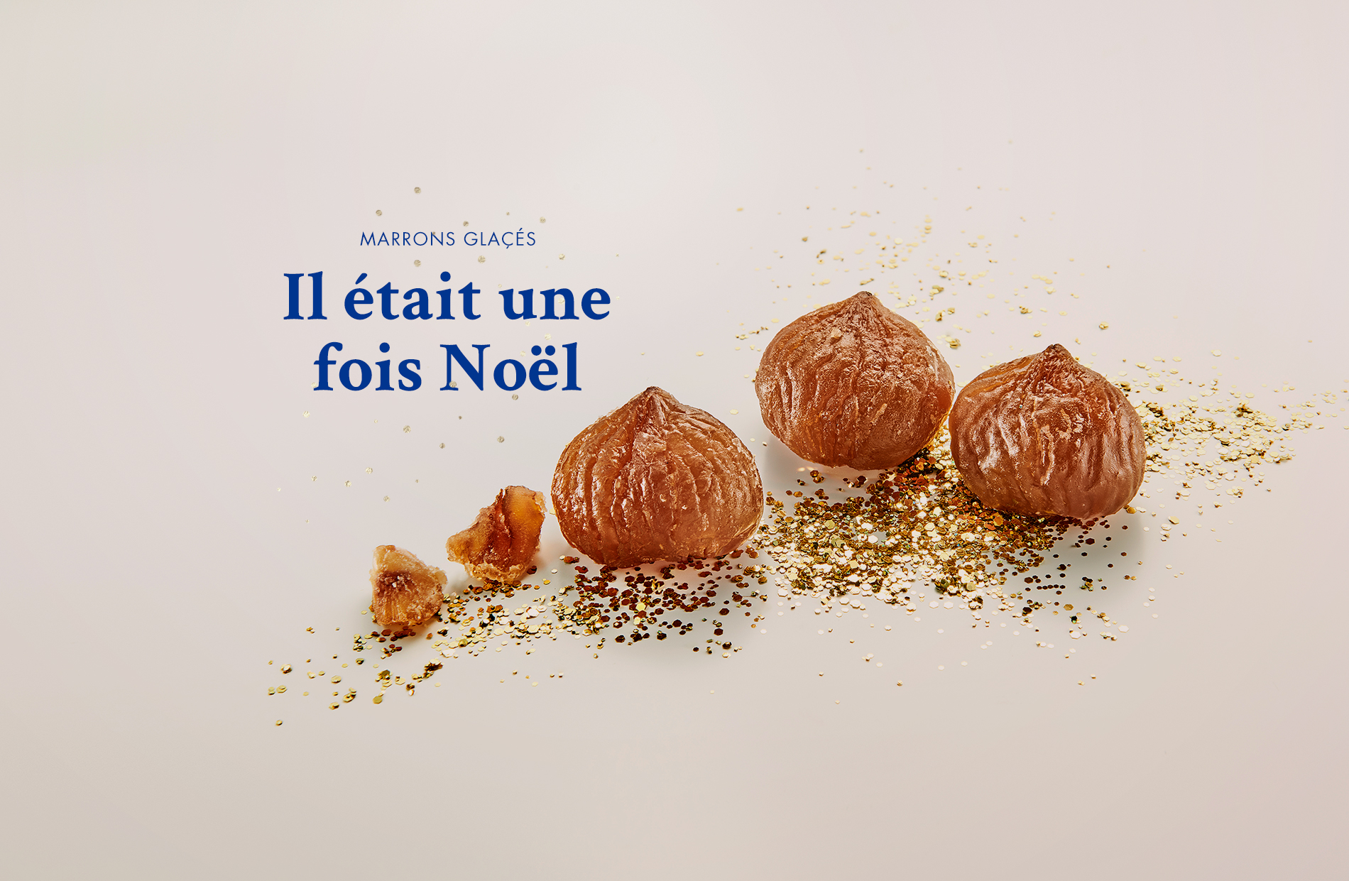 Motta_slider_home_marron